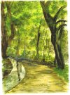 Waldweg mit Bach