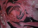 Rose2